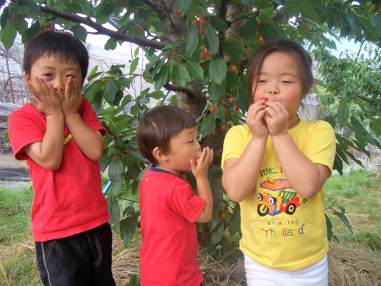 山梨 いいじまフルーツ観光園について