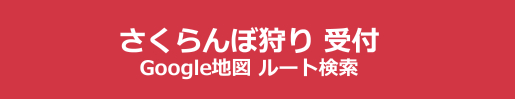 さくらんぼ 狩り 山梨 いいじまフルーツ観光園 富士山 受付 Google ルート