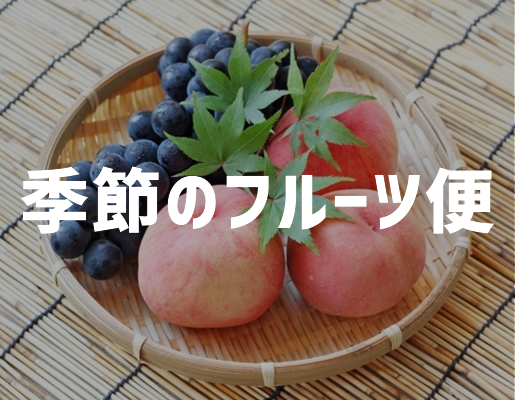 さくらんぼ 狩り 山梨 いいじまフルーツ観光園 産地直送