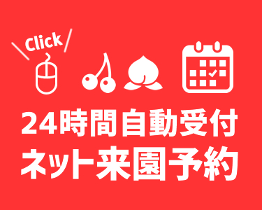 ネット 来園 予約 山梨 いいじまフルーツ観光園 24時間