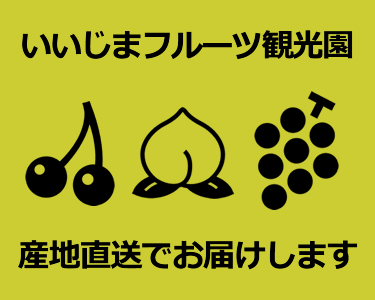 産地直送 山梨 いいじまフルーツ観光園