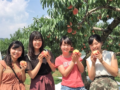 桃狩り 山梨 いいじまフルーツ観光園