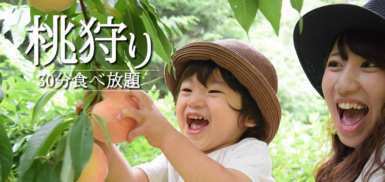 桃狩り 山梨 いいじまフルーツ観光園 30分 食べ放題